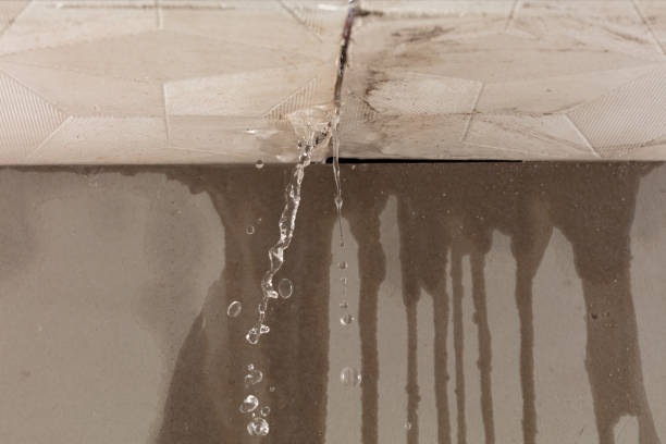 Professional Burst Pipe Cleanup technician working in Cottontown, TN